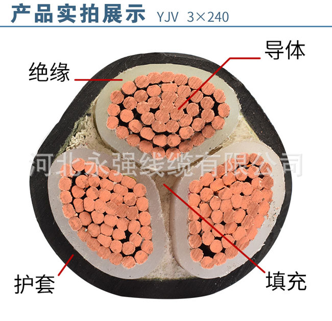 8585718352_1697638087.jpg 8585718352_1697638087.jpg