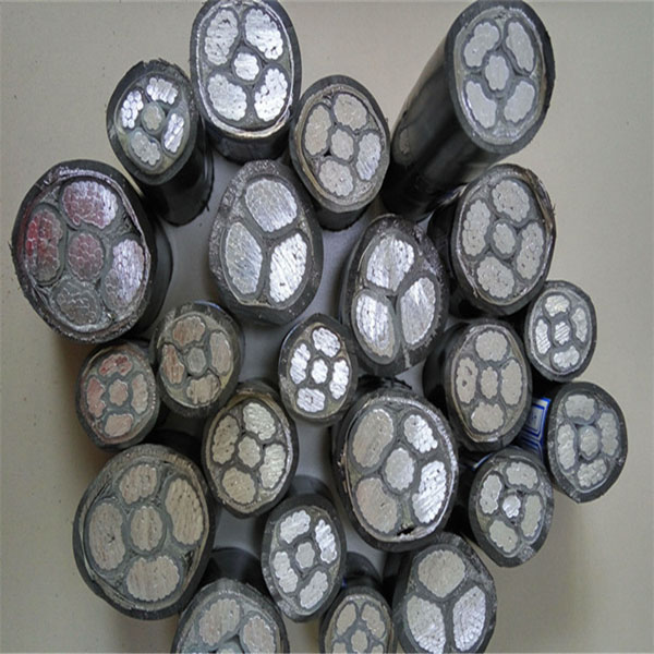 3956859144_1697638087.jpg 3956859144_1697638087.jpg