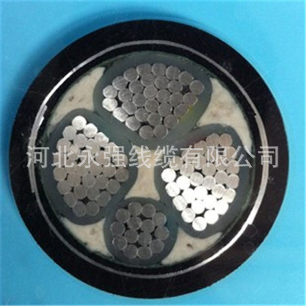 3955302411_1697638087.jpg 3955302411_1697638087.jpg