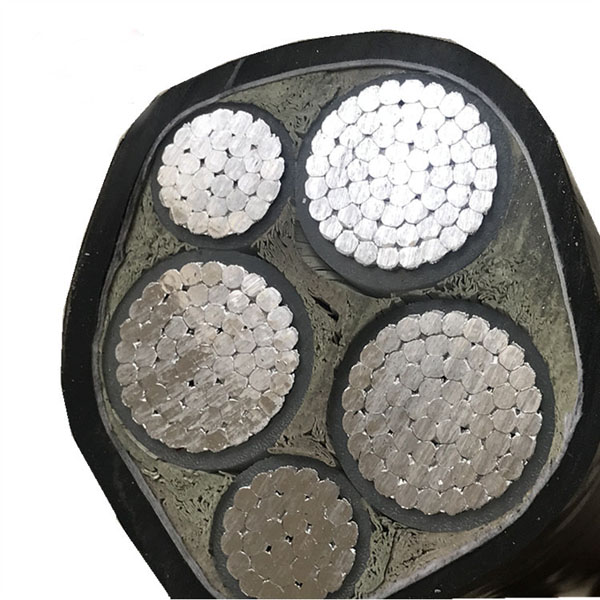 10946465834_1697638087.jpg 10946465834_1697638087.jpg