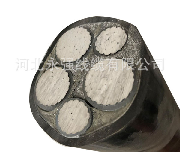 11107967606_1697638087.jpg 11107967606_1697638087.jpg