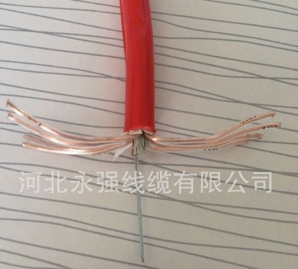 2176801765_1697638087.jpg 2176801765_1697638087.jpg